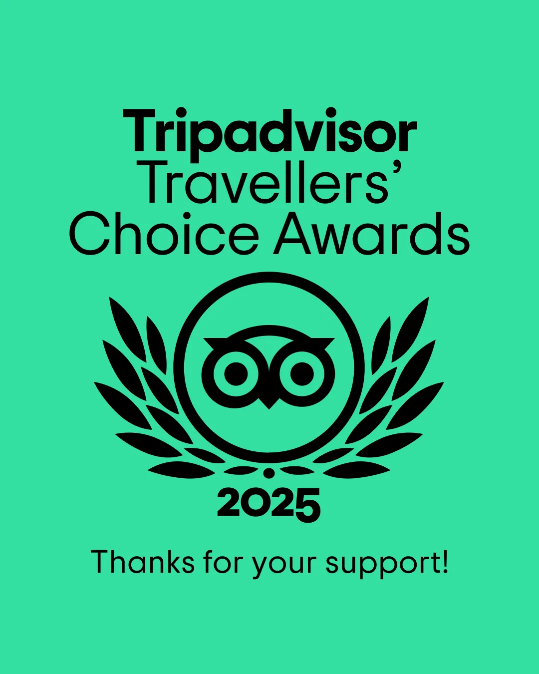 Tripadvisor Travellers Choice Award